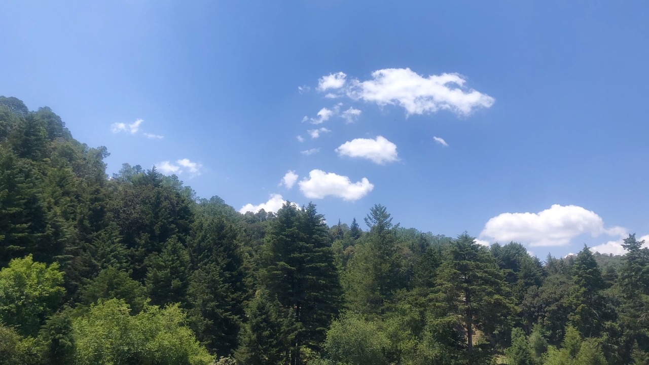 Photo of Outdoor in El Oro