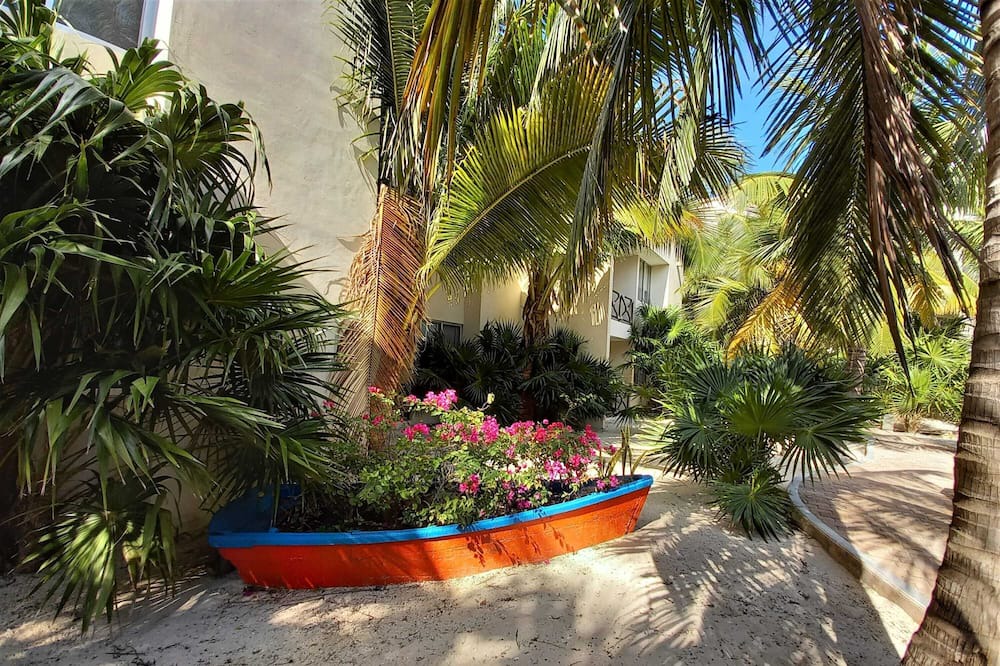 Photo of Outdoor in Progreso Municipality