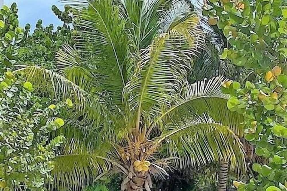 Photo of Outdoor in Progreso Municipality