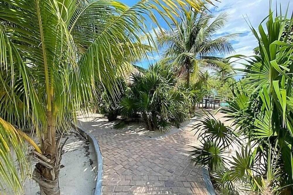 Photo of Outdoor in Progreso Municipality