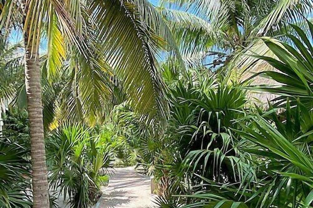 Photo of Outdoor in Progreso Municipality