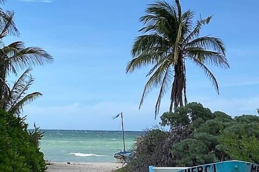 Photo of Others in Progreso Municipality