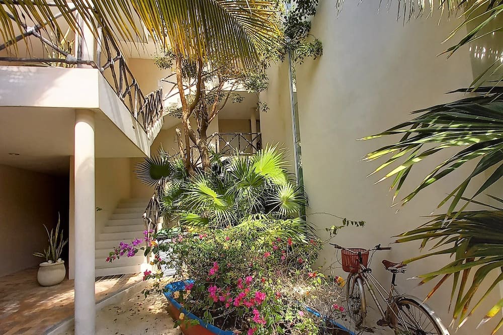 Photo of Outdoor in Progreso Municipality