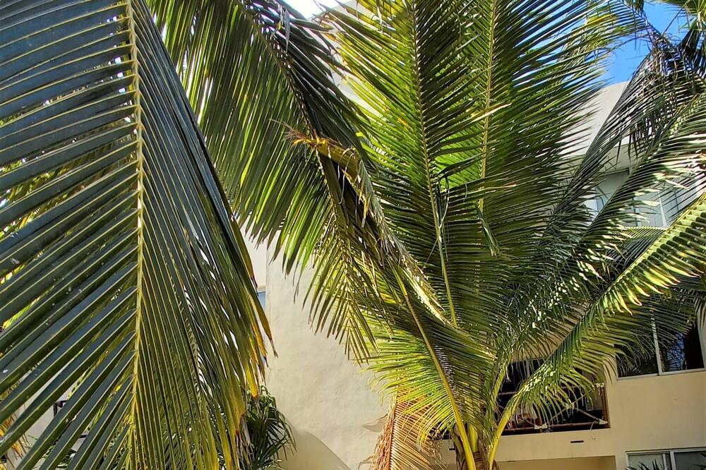 Photo of Outdoor in Progreso Municipality