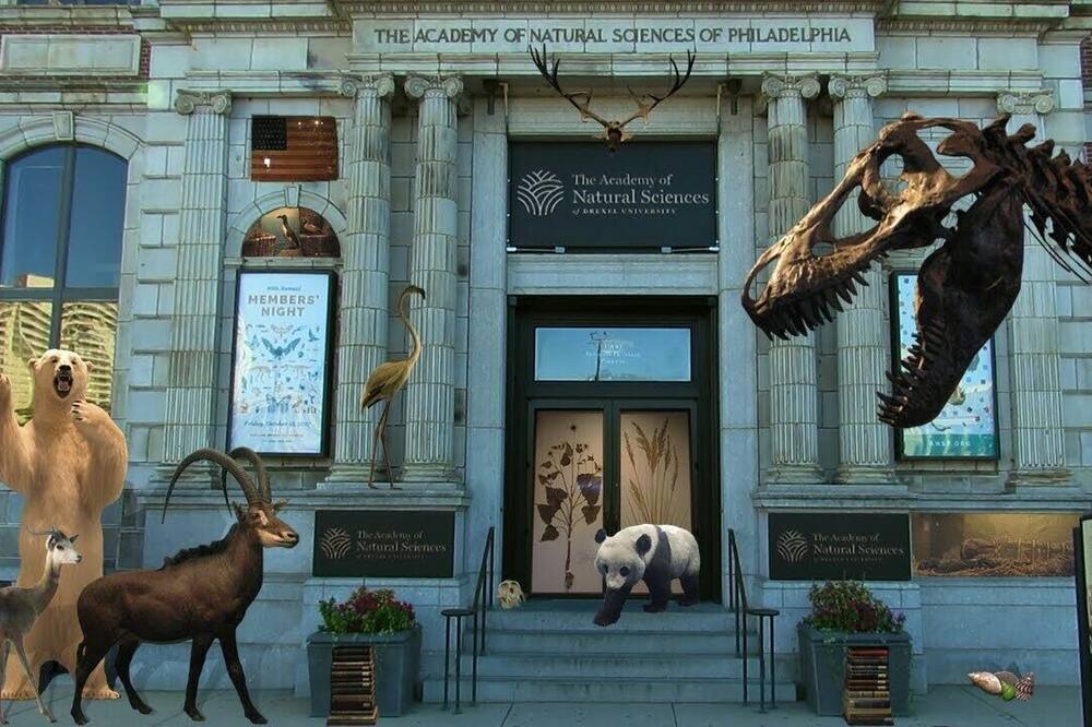 Photo of Others in Logan Square