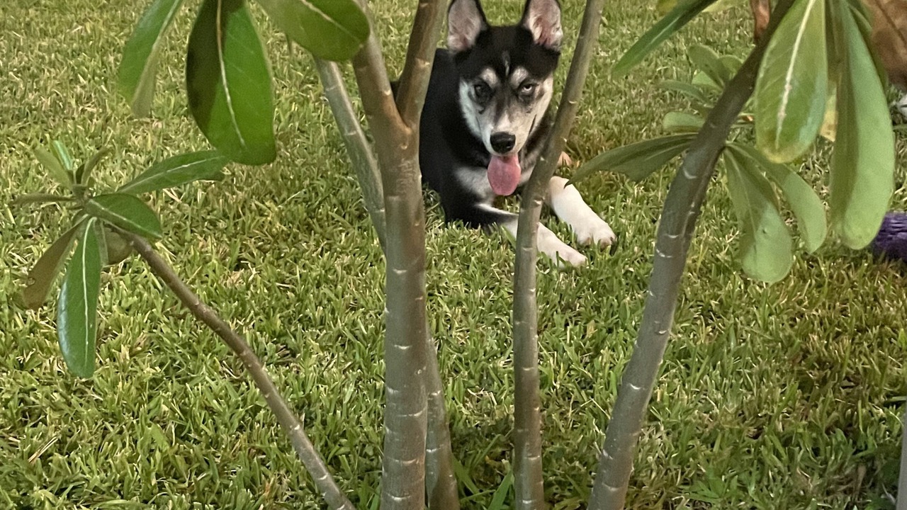 Photo of Outdoor in Bacocho