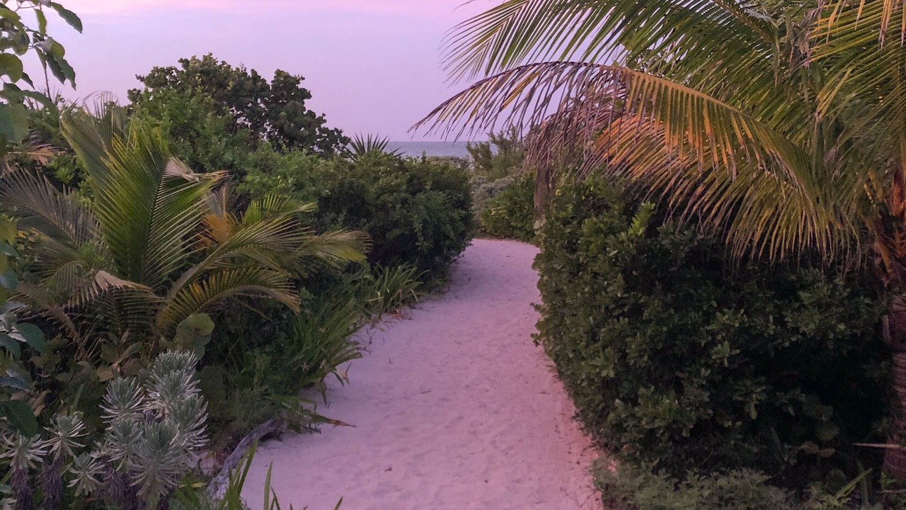 Photo of Others in Sisal