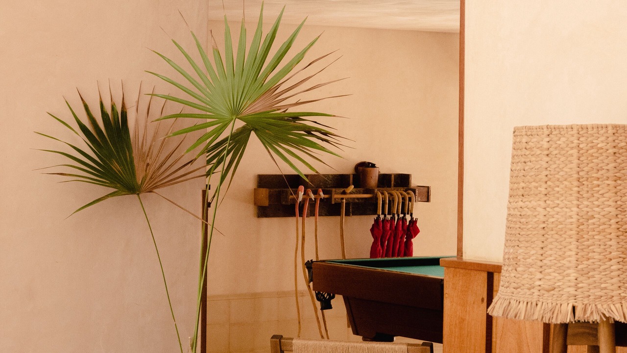 Photo of Outdoor in Sisal