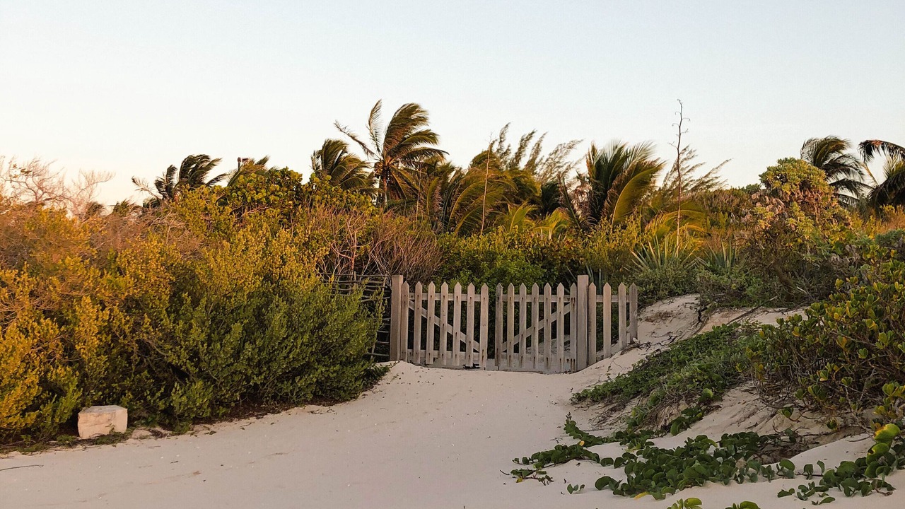 Photo of Others in Sisal