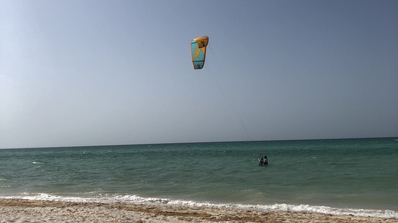 Photo of Others in Sisal