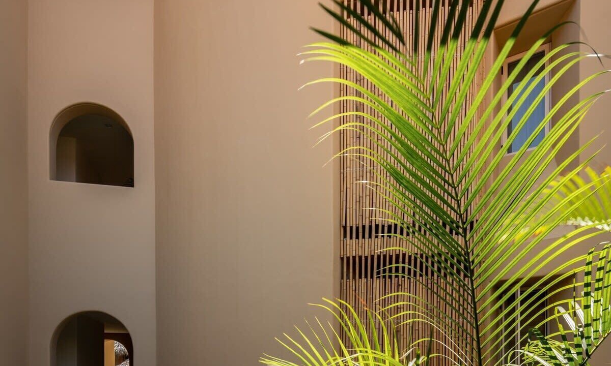 Photo of Outdoor in Playa la Madera