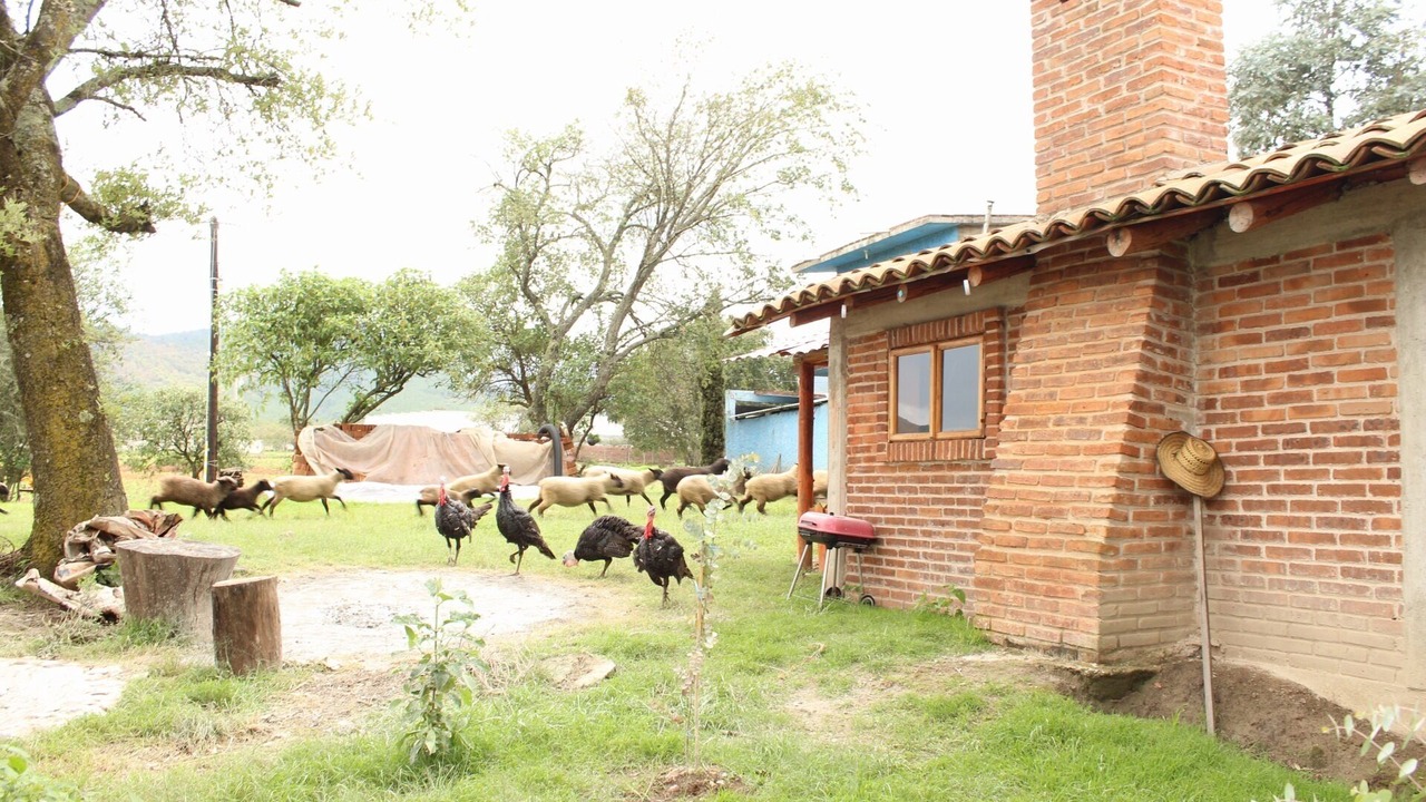 Photo of Buildings in Chignahuapan