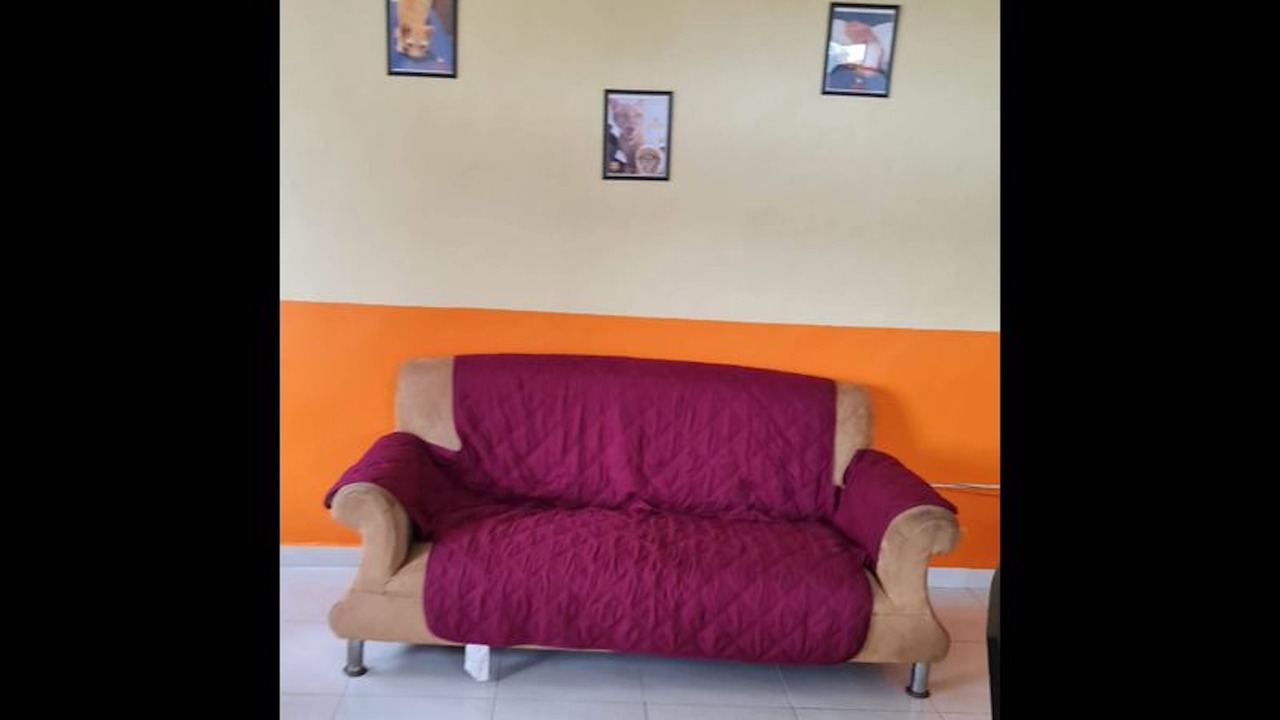 Photo of Others in Merida Municipality
