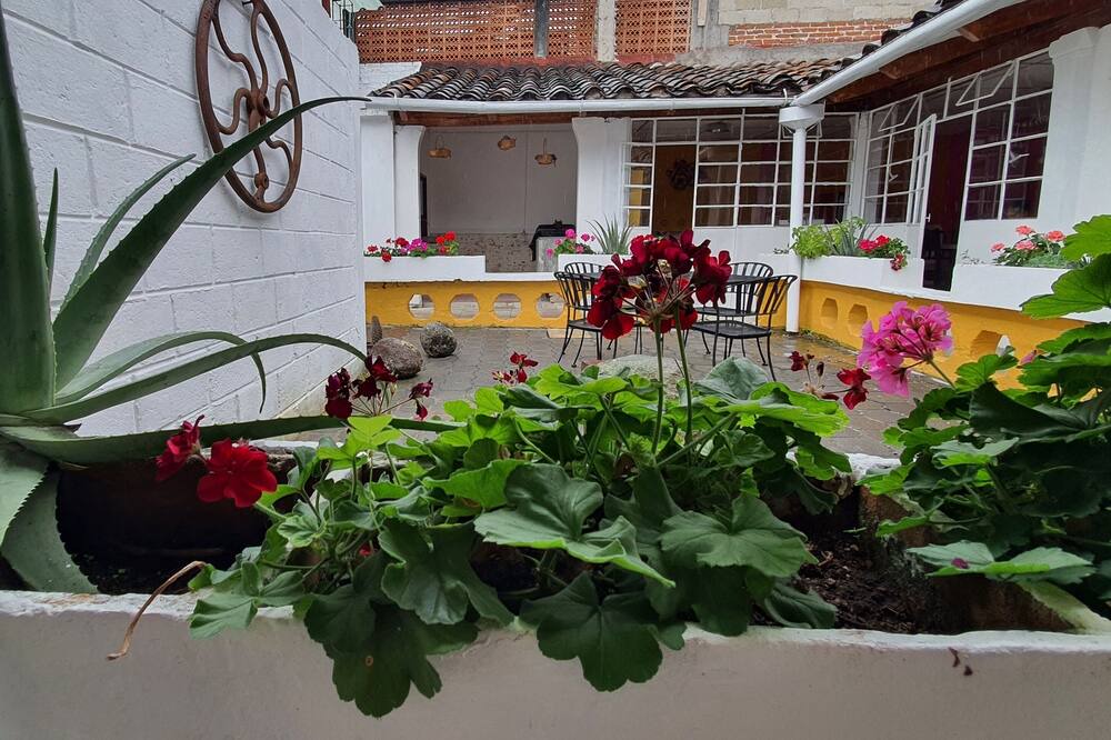 Photo of Outdoor in Xico