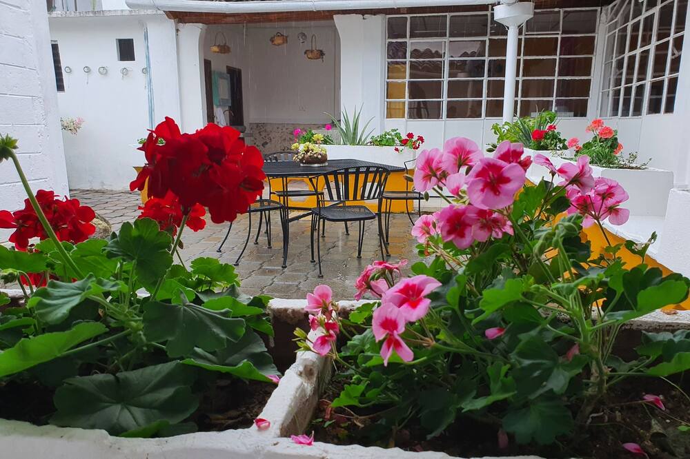 Photo of Outdoor in Xico