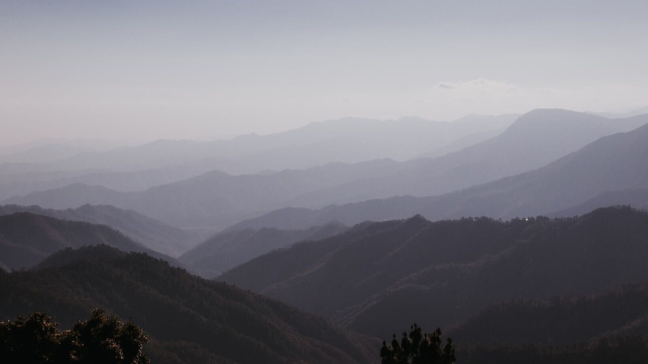 Photo of Outdoor in San Jose del Pacifico