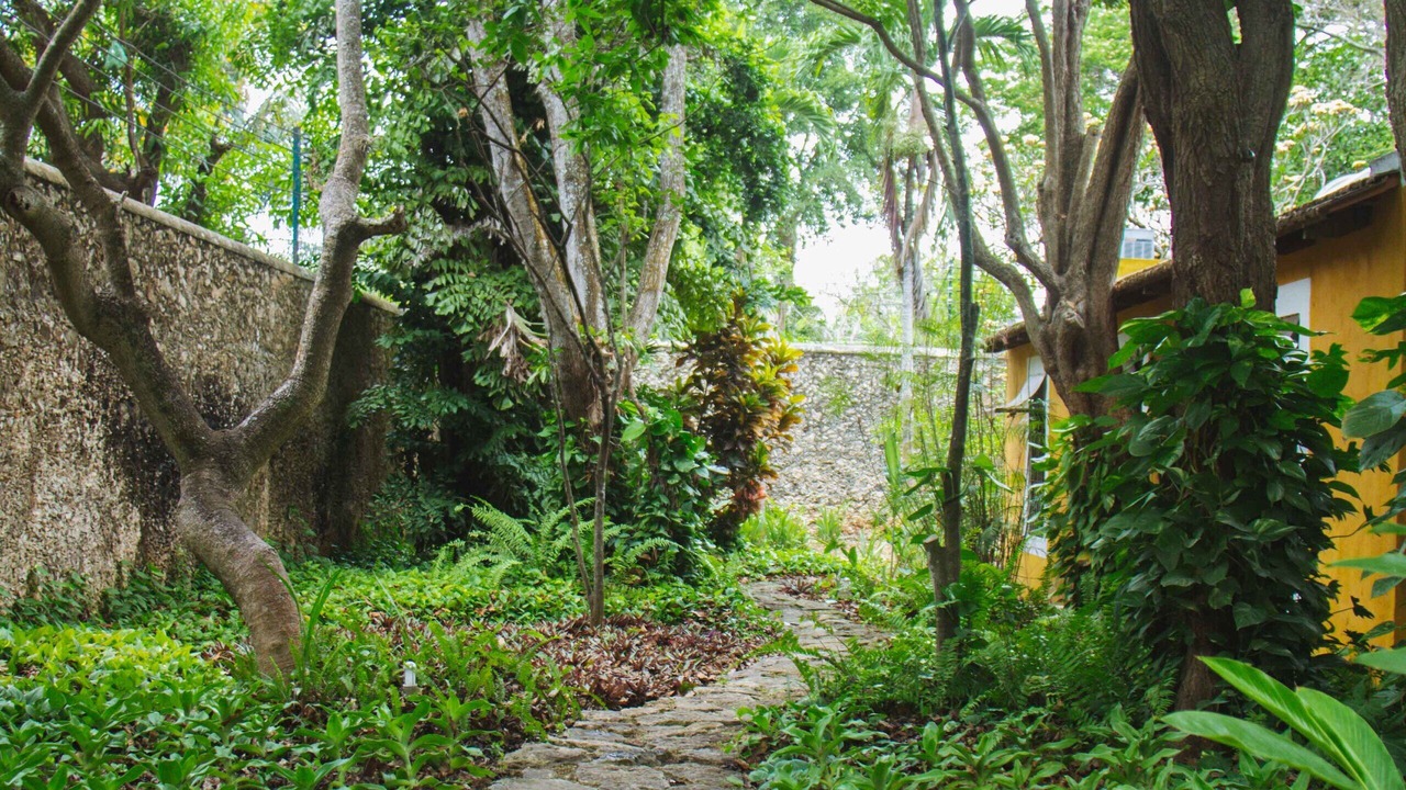 Photo of Outdoor in Tixkokob