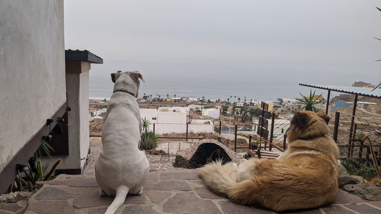 Photo of Outdoor in Rosarito
