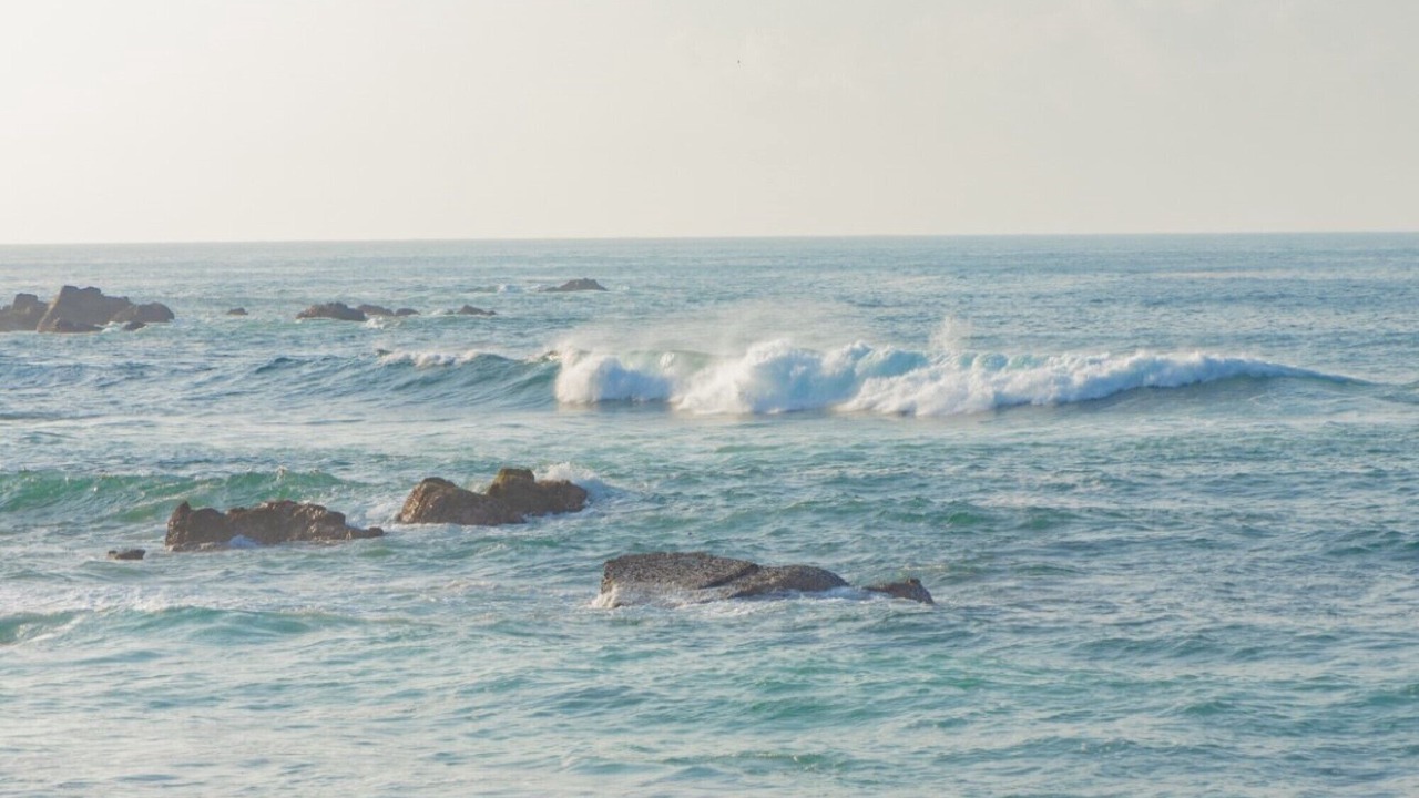 Photo of Others in Salchi
