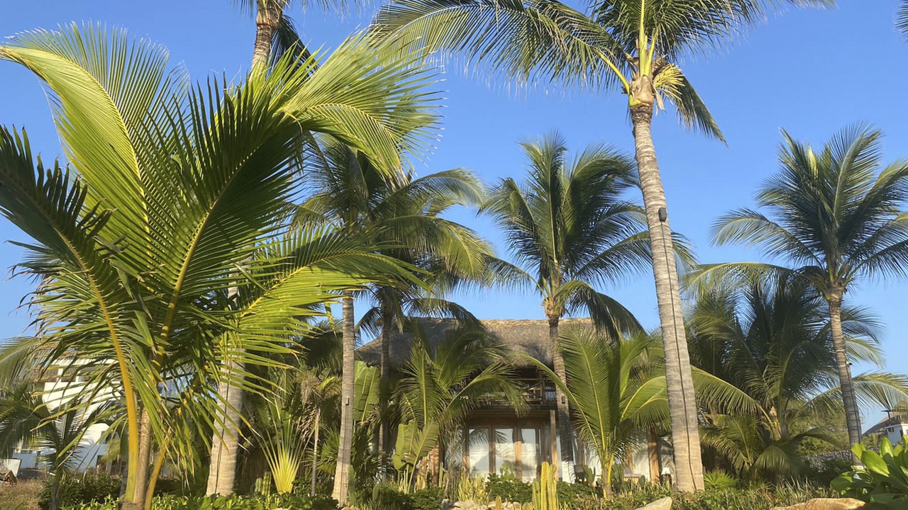 Photo of Outdoor in Los Tamarindos