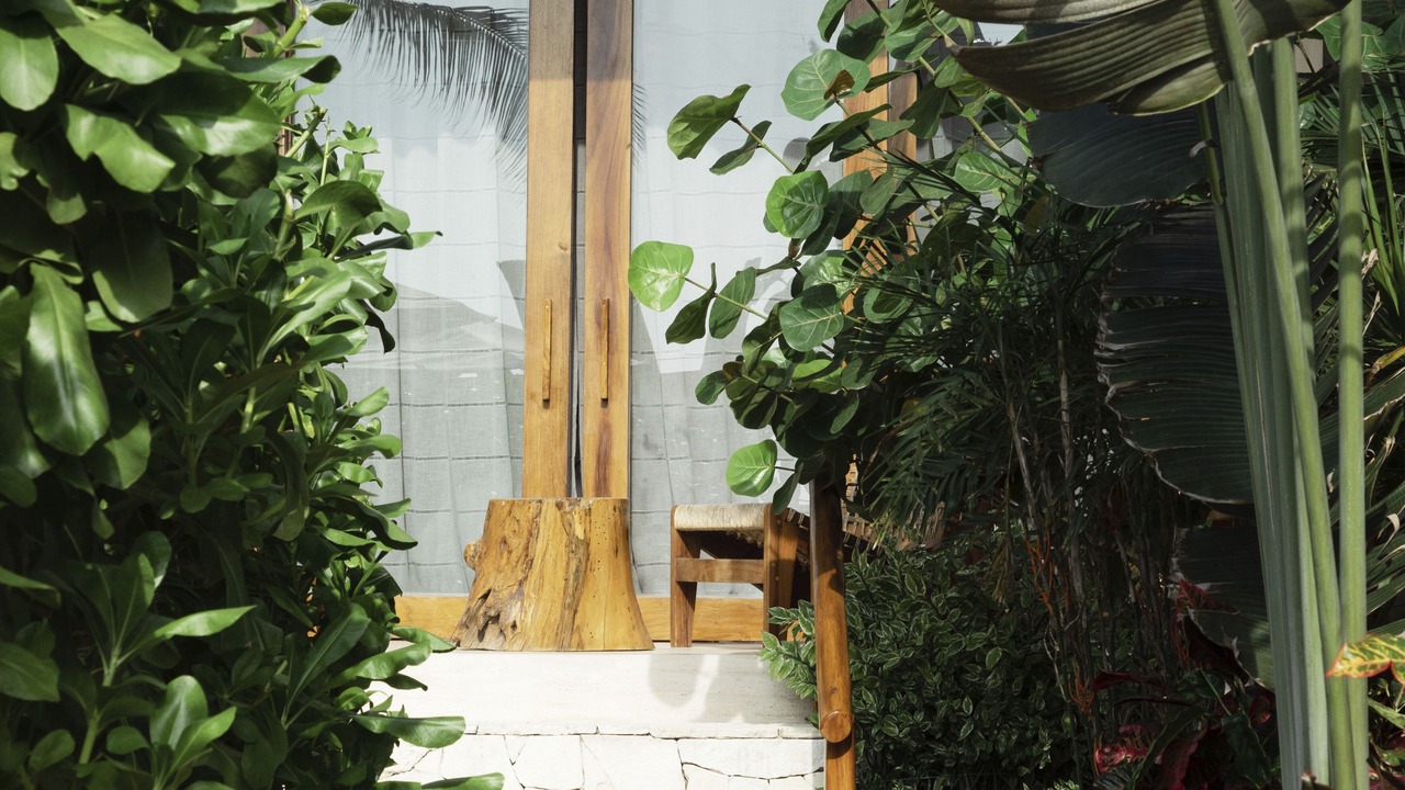 Photo of Outdoor in Los Tamarindos