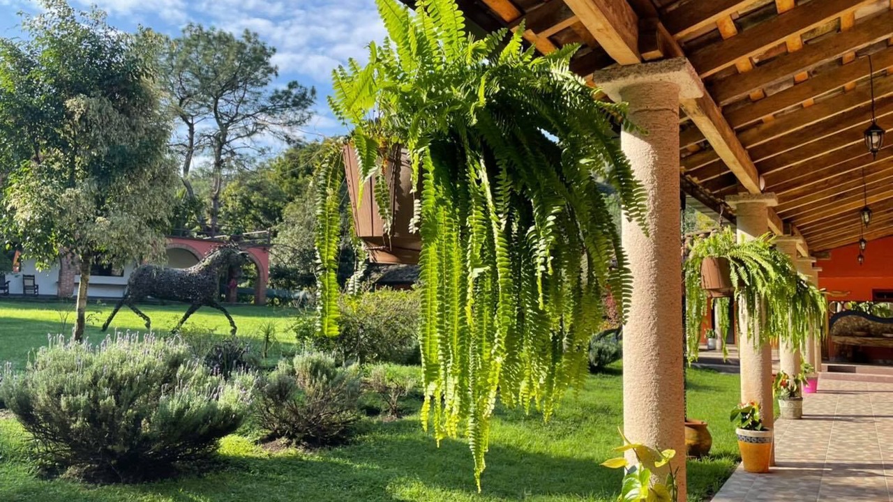 Photo of Outdoor in Tlalnelhuayocan