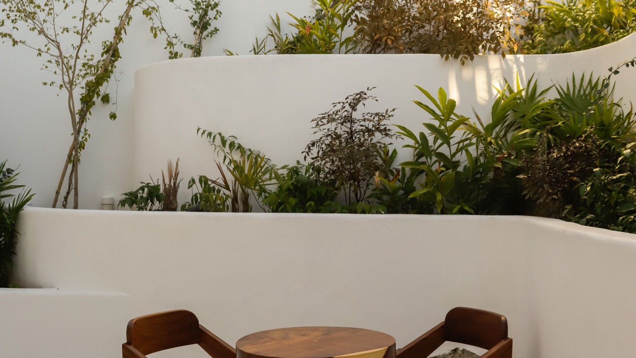Photo of Outdoor in La Manzanilla