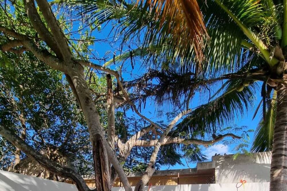 Photo of Outdoor in Chelem