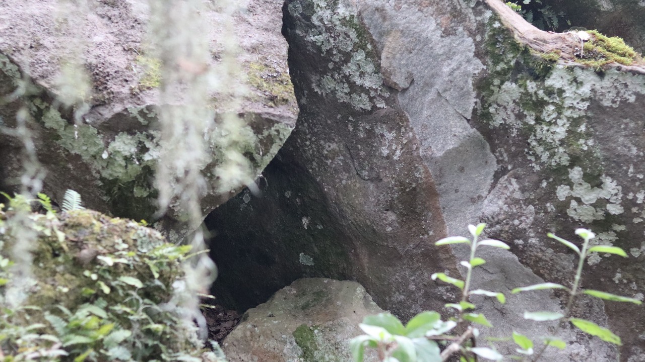 Photo of Others in Chignahuapan