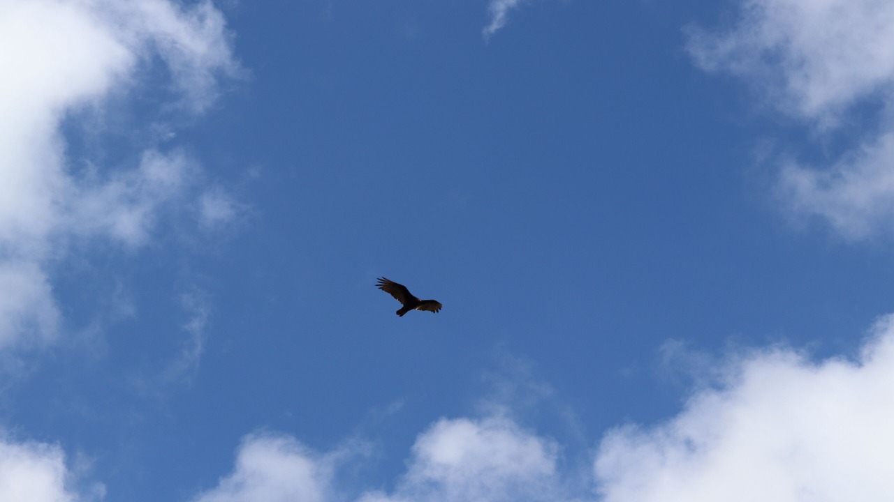 Photo of Outdoor in Chignahuapan