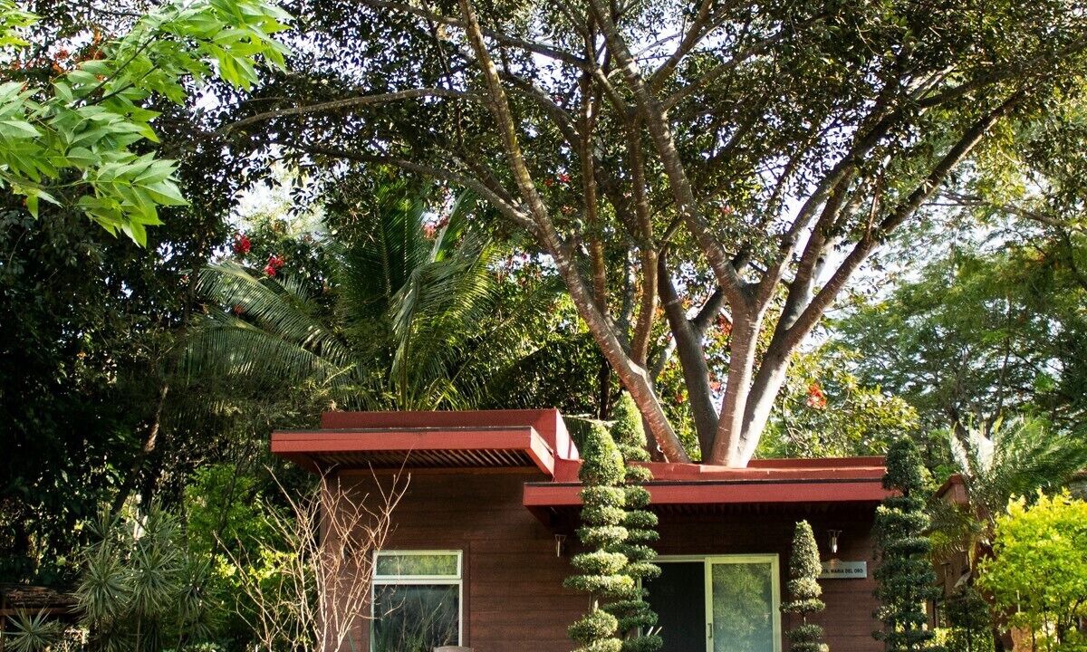 Photo of Outdoor in La Laguna
