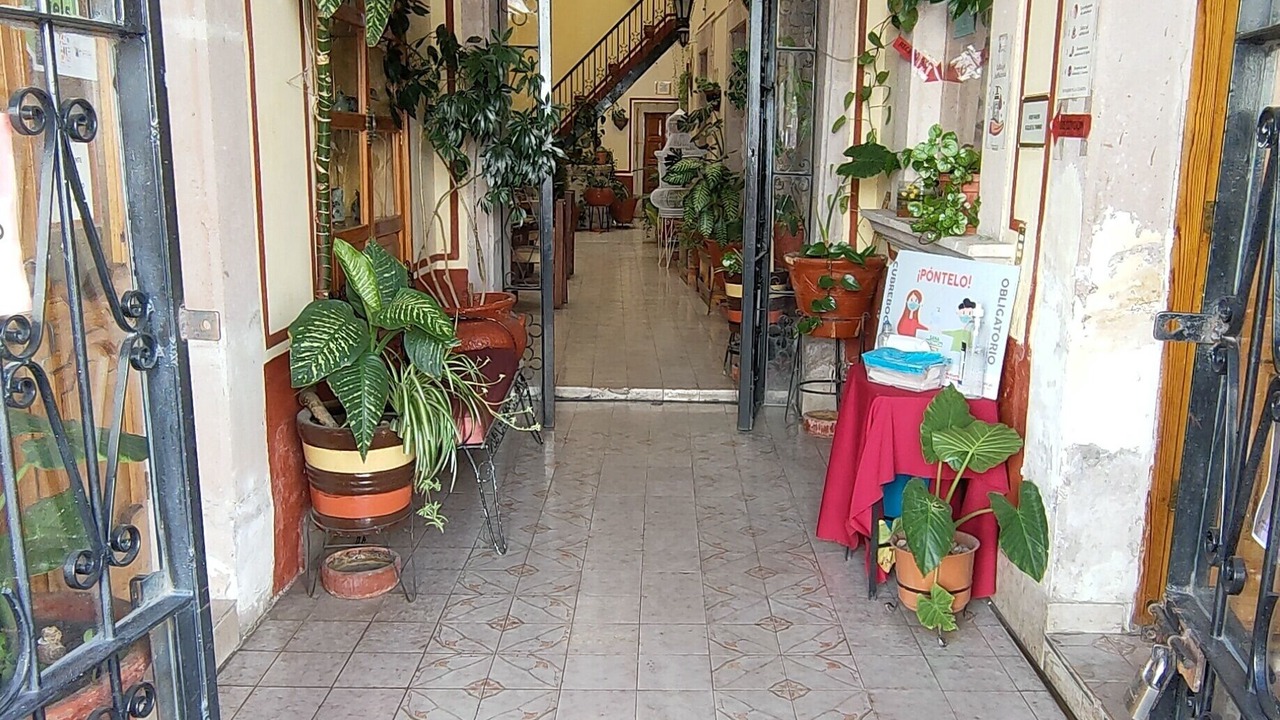 Photo of Others in Jerez de Garcia Salinas