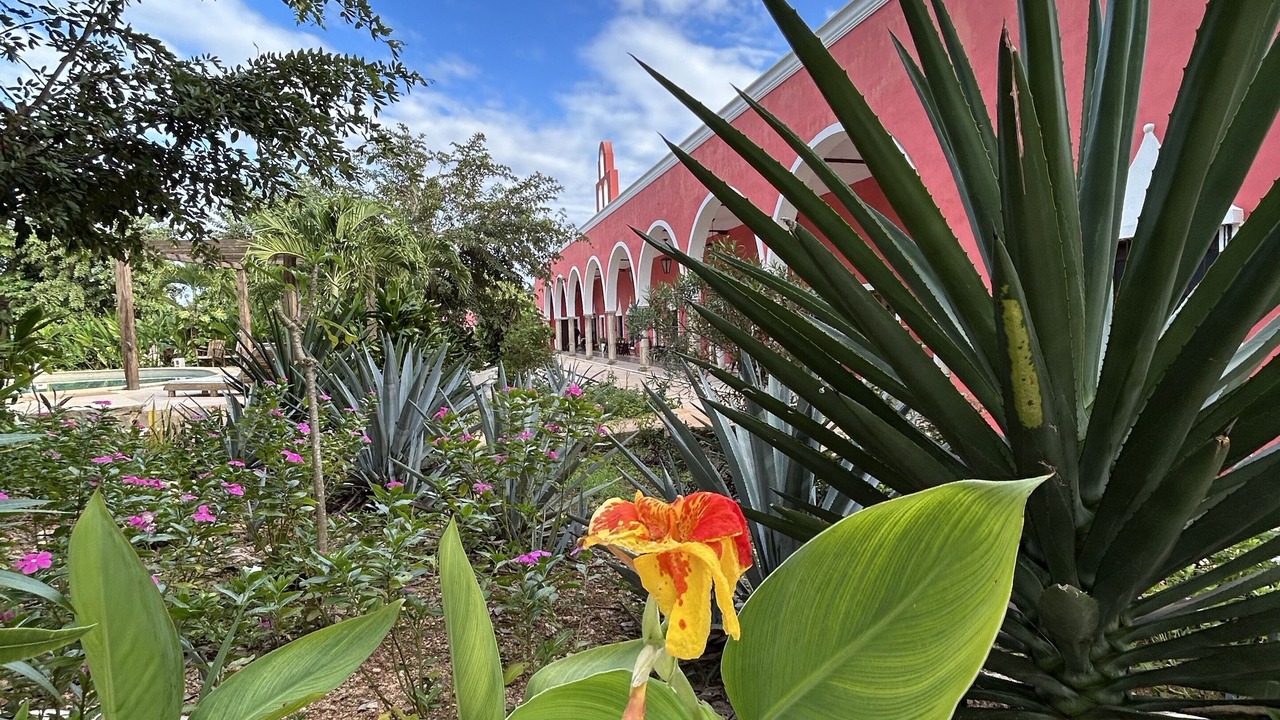 Photo of Outdoor in Ticul