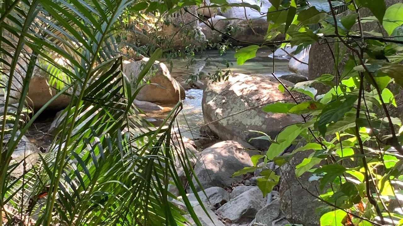 Photo of Outdoor in Puerto Vallarta