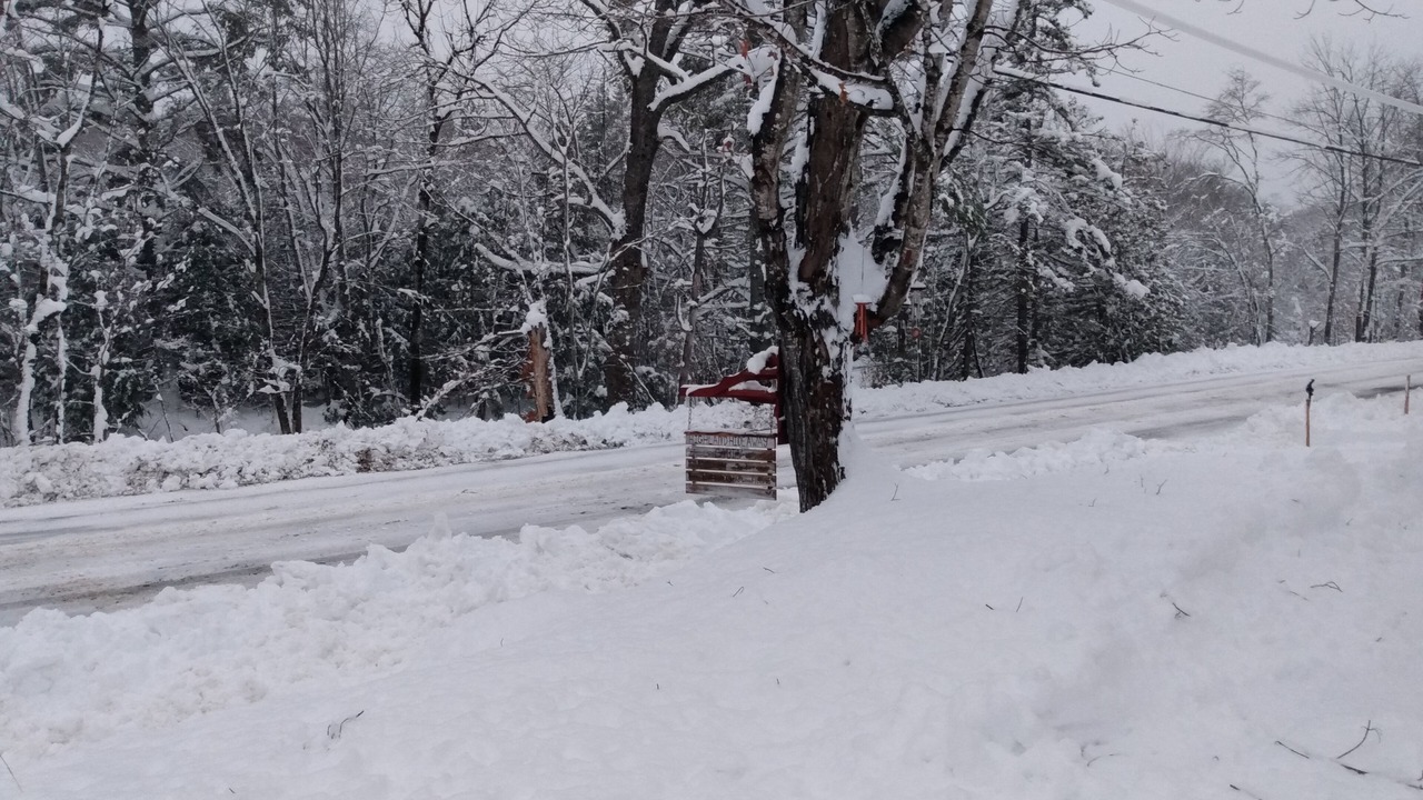 Photo of Outdoor in New Portland