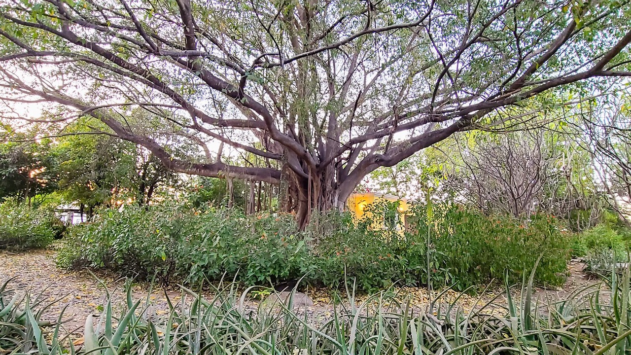 Photo of Outdoor in Alamos
