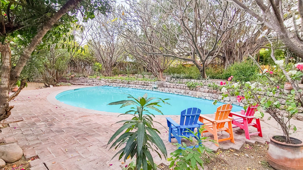 Photo of Outdoor in Alamos
