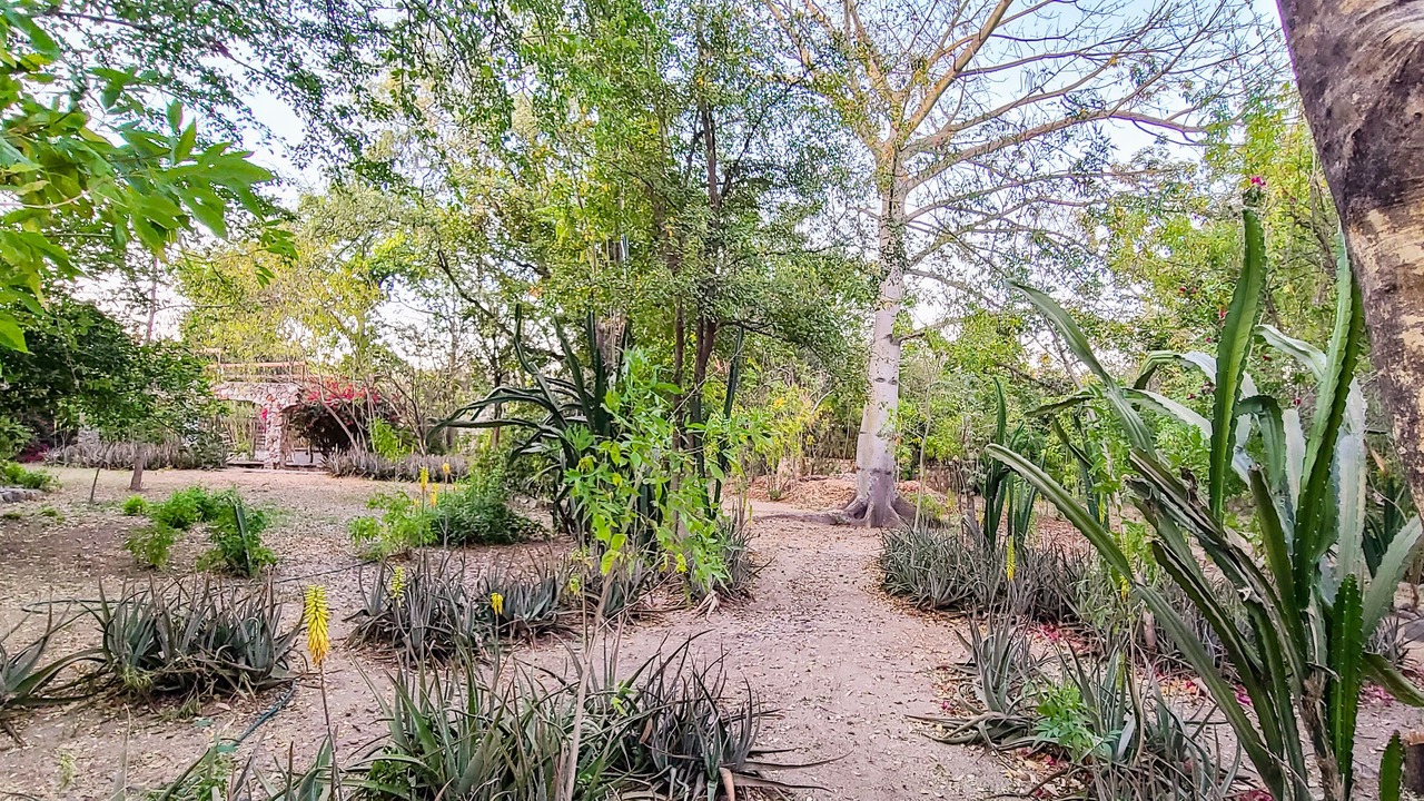 Photo of Outdoor in Alamos