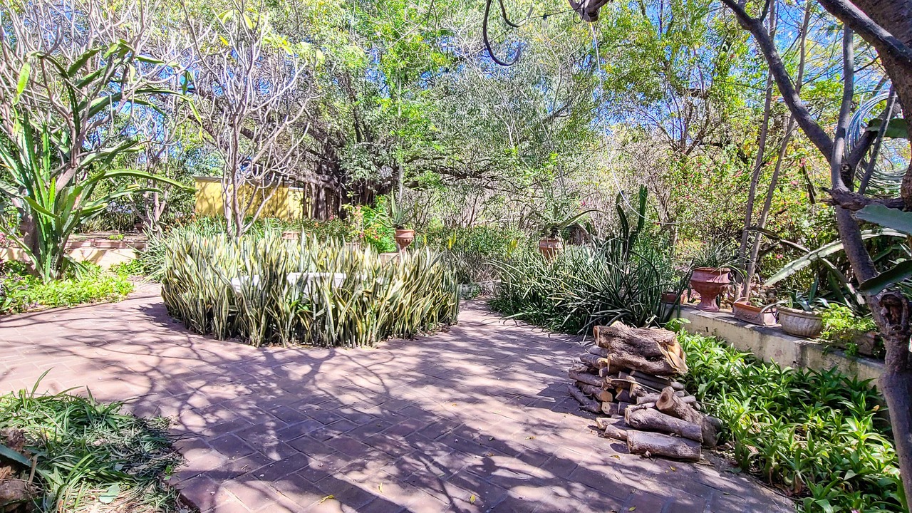 Photo of Outdoor in Alamos