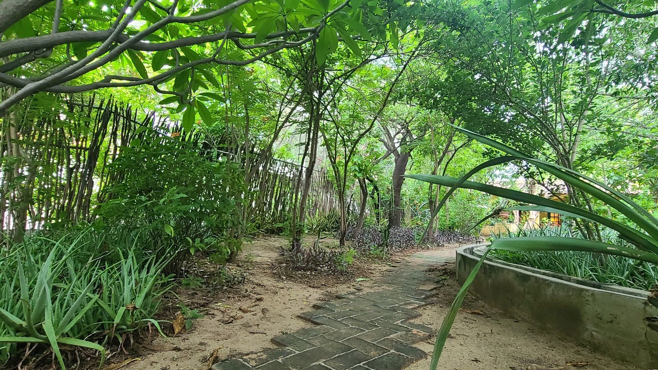 Photo of Outdoor in Alamos
