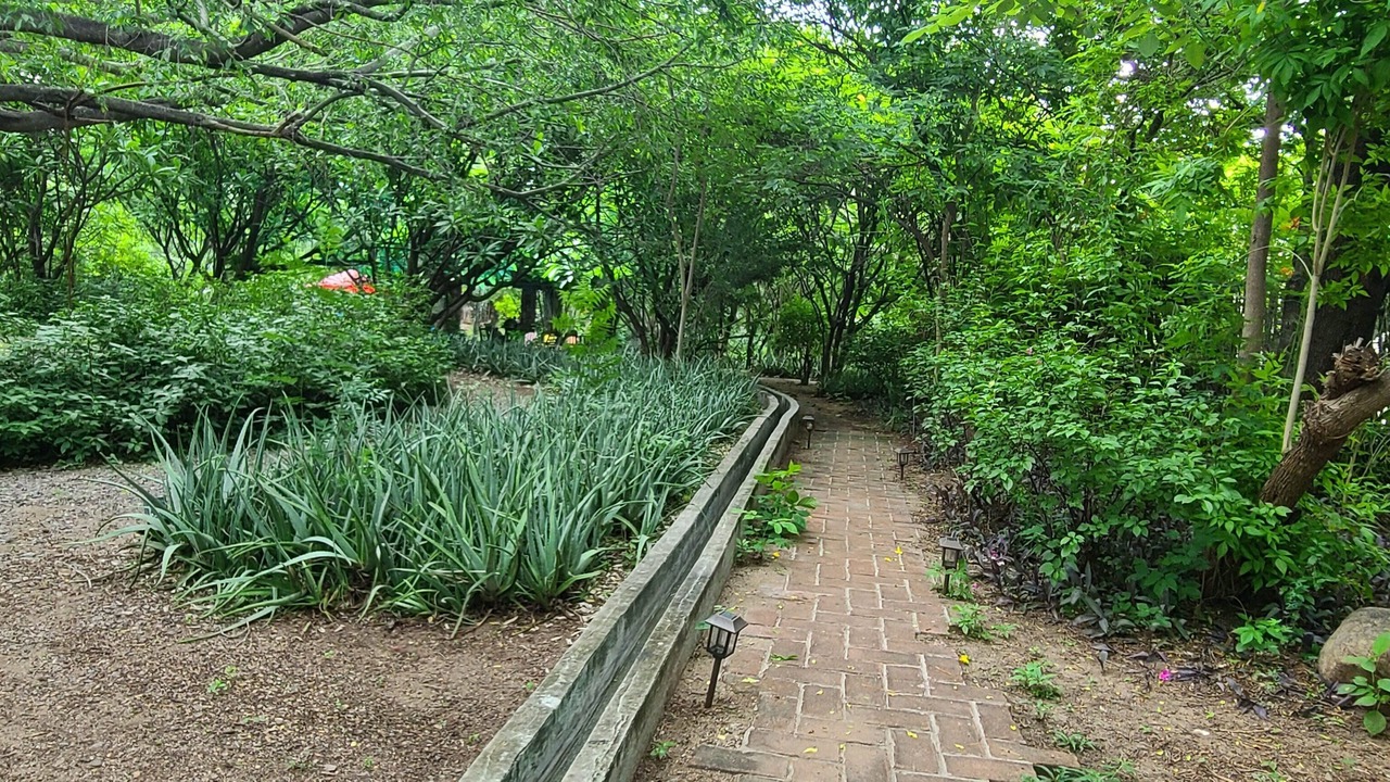 Photo of Outdoor in Alamos