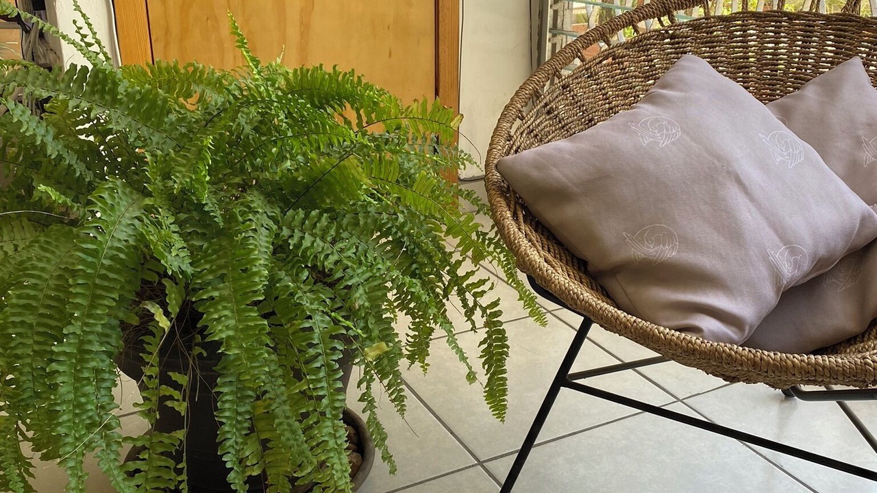 Photo of Livingroom in Americana