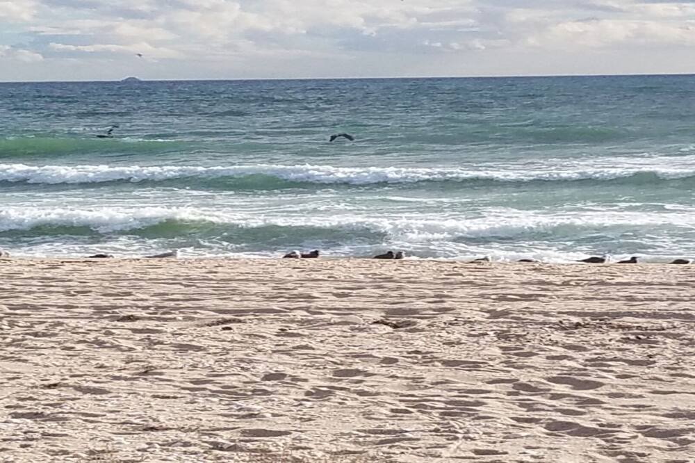 Photo of Others in Puerto Penasco