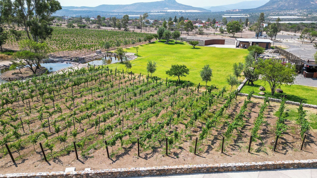 Photo of Outdoor in Ezequiel Montes