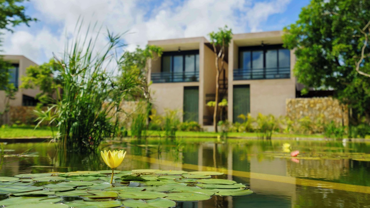 Photo of Outdoor in Merida Municipality