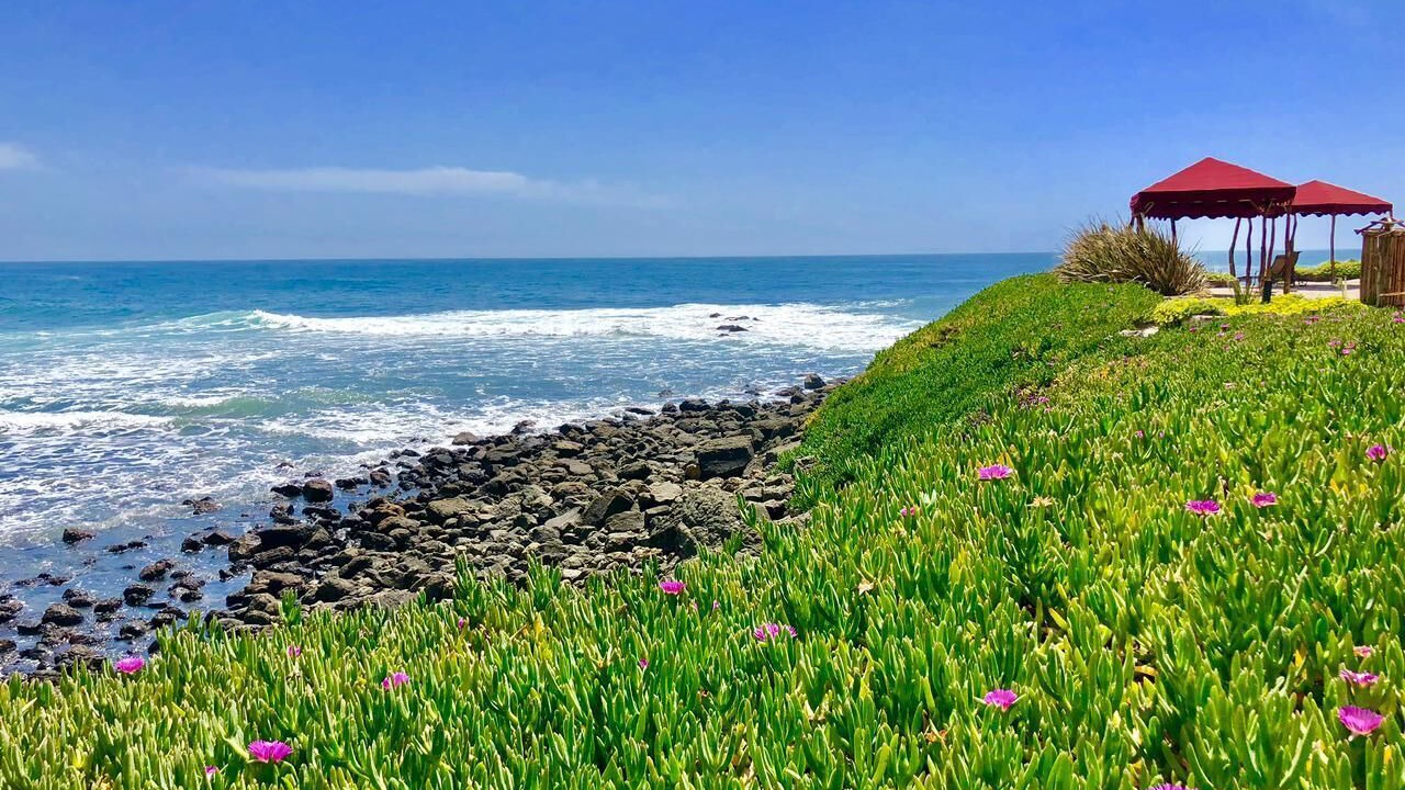 Photo of Others in Rosarito