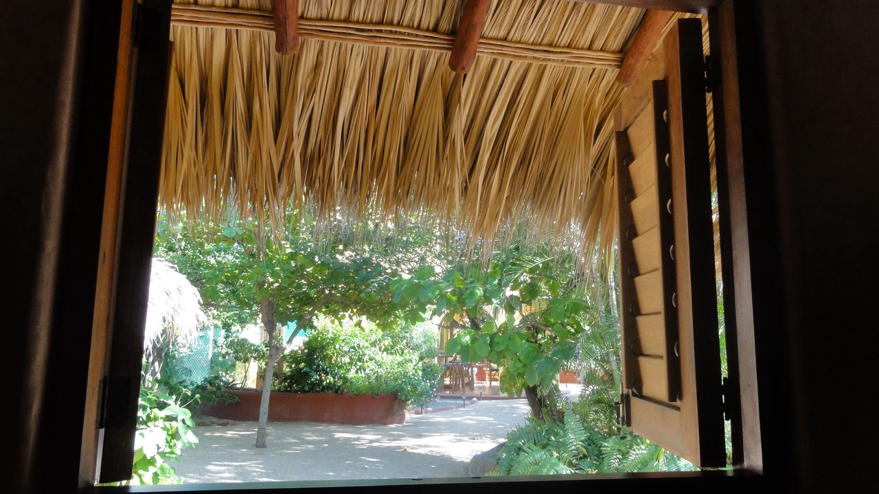 Photo of Others in Troncones