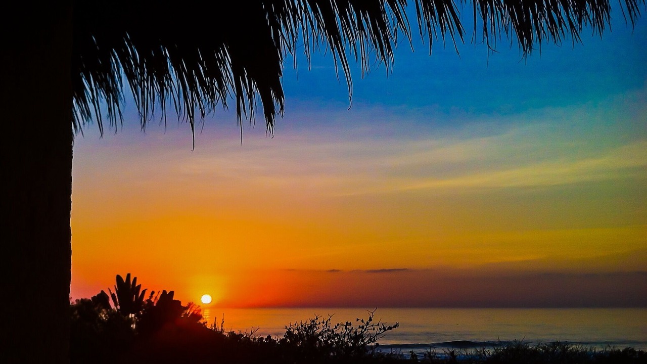 Photo of Outdoor in Troncones