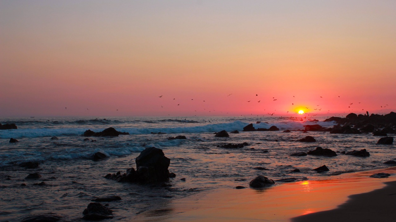Photo of Outdoor in Troncones