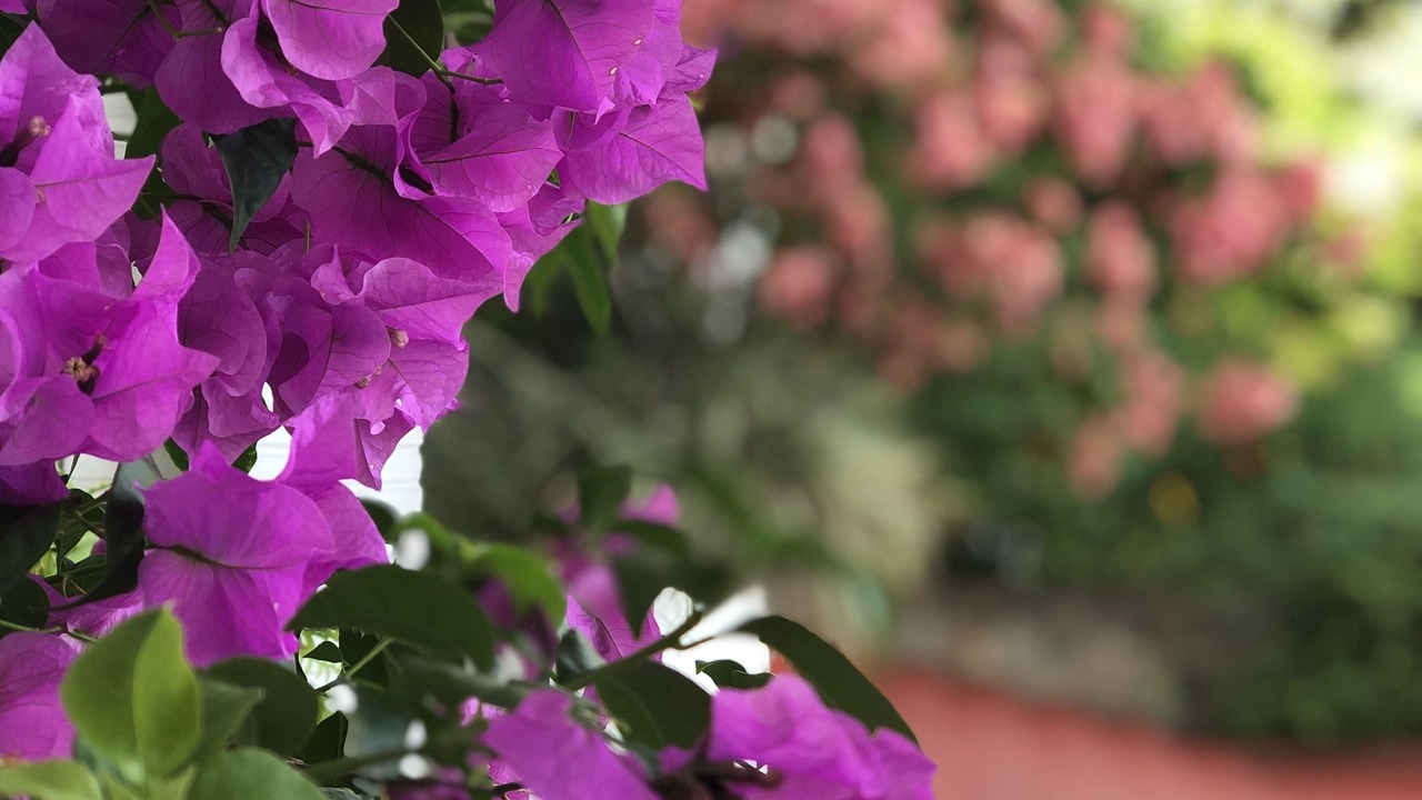 Photo of Outdoor in Las Brisas